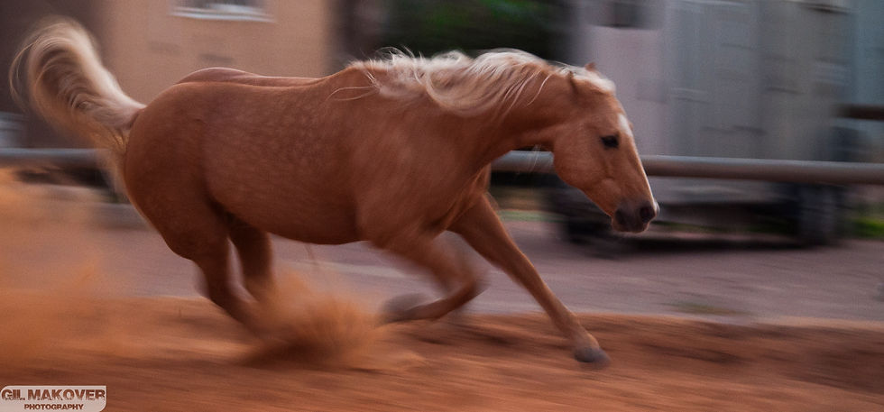 Speed