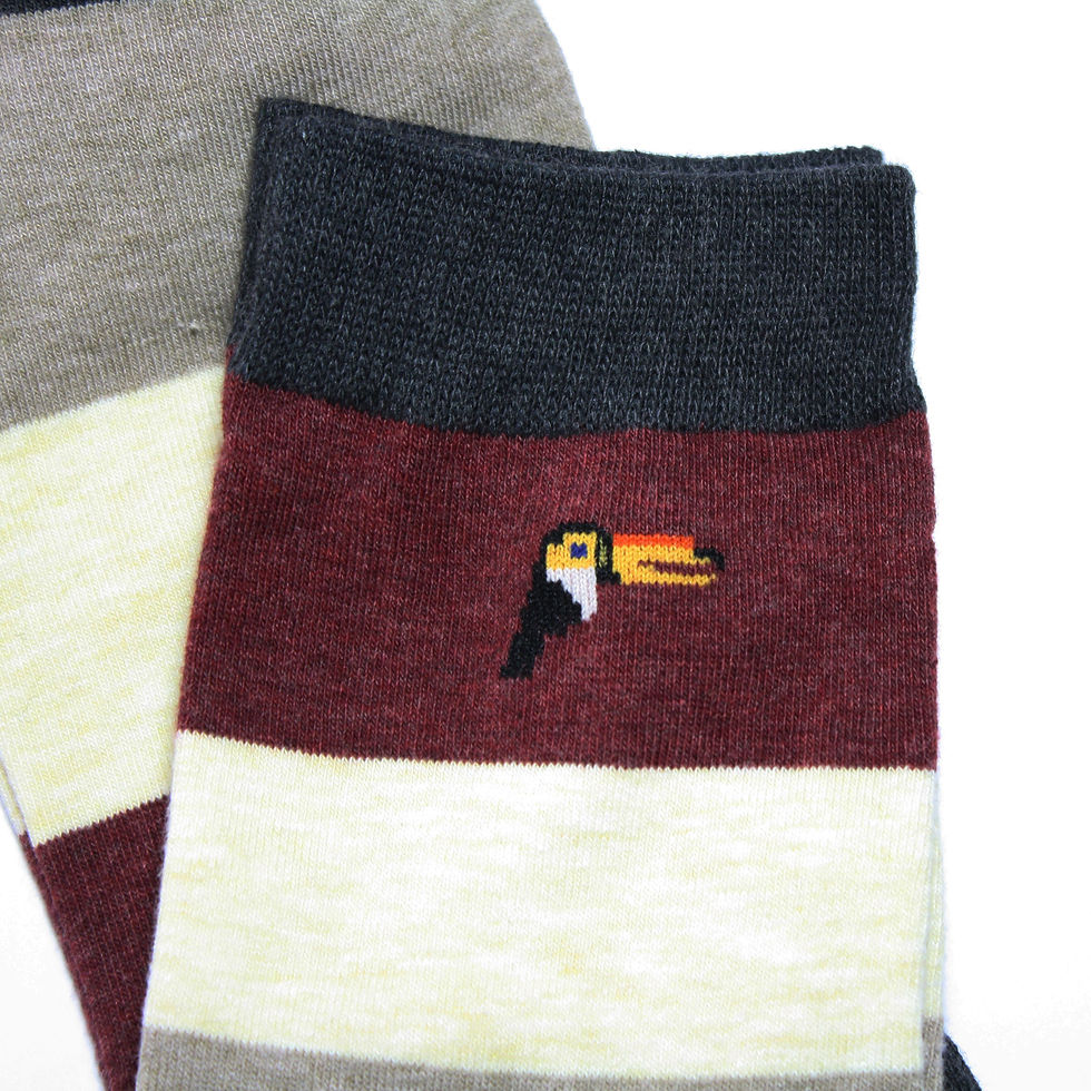 Miniaturbild: Streifen Lang - Toucan