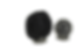 image_edited.png