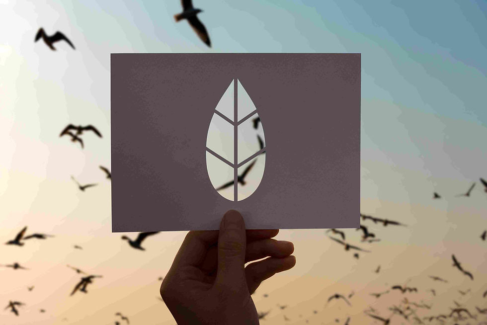 2025 İklim Zirvesi Başladı