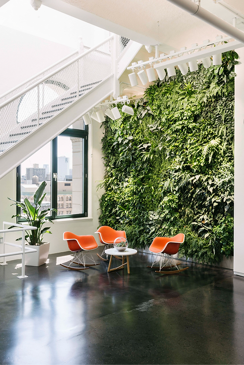 coworking space living walls