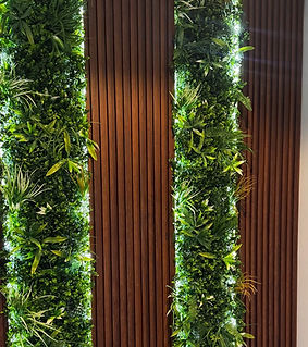light Living Walls