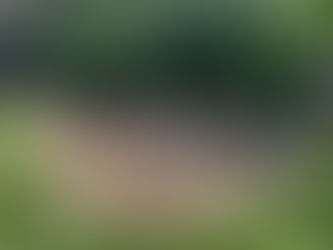 August brings Adjustments