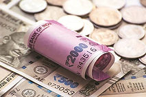 Municipal Bonds
