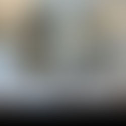 PROJET BOIS-DE-BOULOGNE