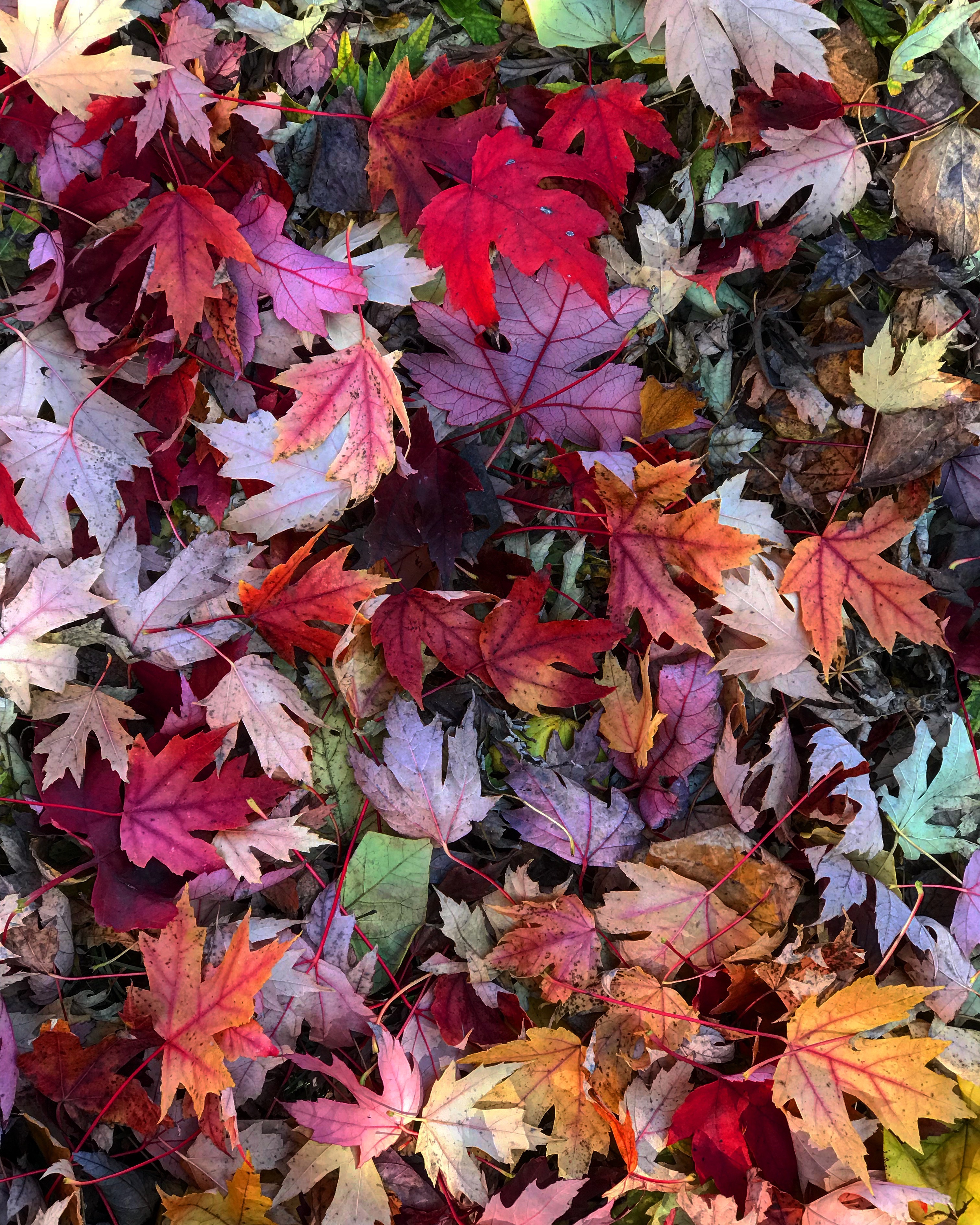 Fall looks good on us.