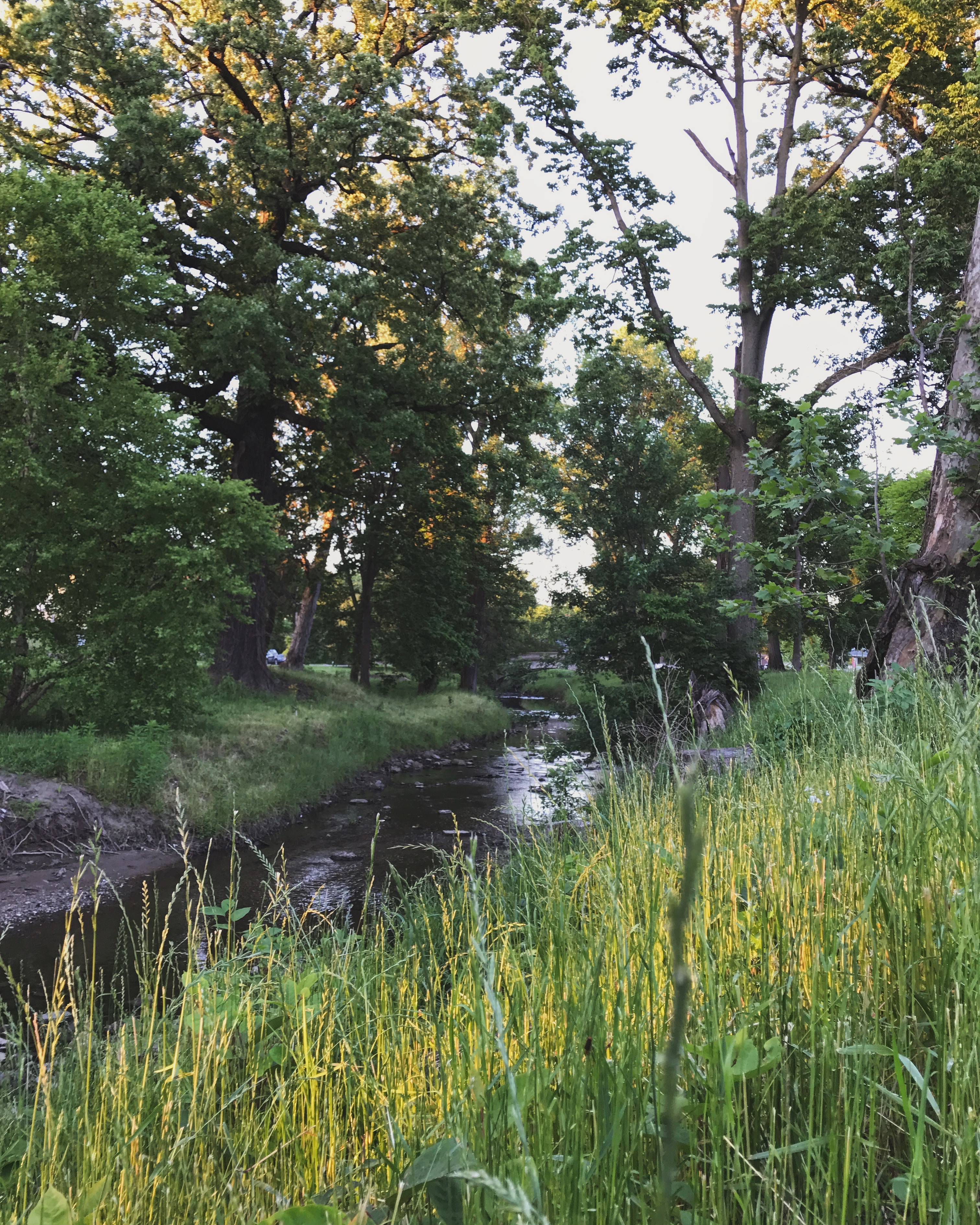Spades Park