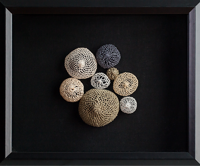 Variety Pack_edited.png