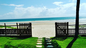 Liga Convida: Lívia "Gaby" Viana