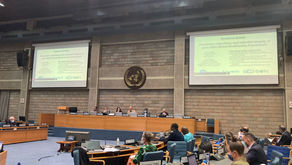 COP-15: O que esperar do novo acordo global de biodiversidade