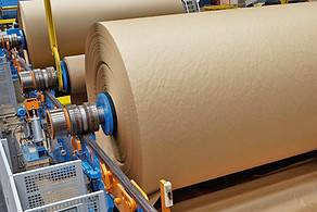 Indústria de Papel e Celulose
