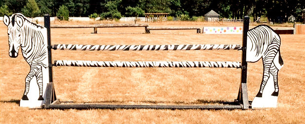 Speciality/ Custom Wings in a Zebra pattern - built in 2014