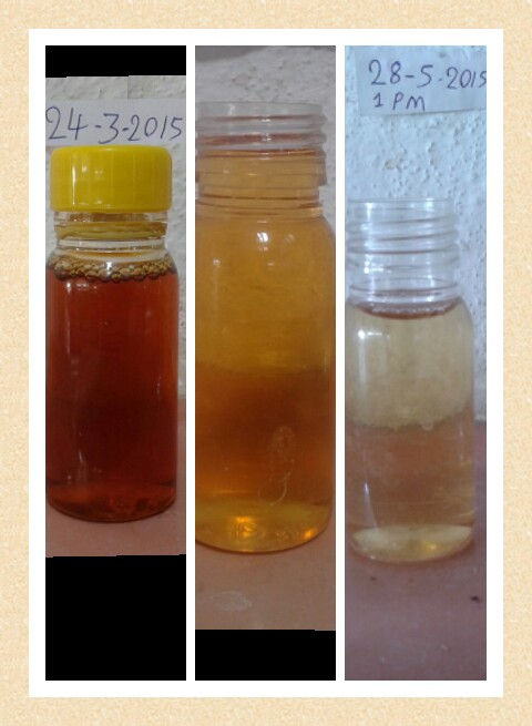 Treatment Result (urine samples).