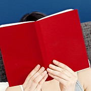 LiteratureLust.com logo