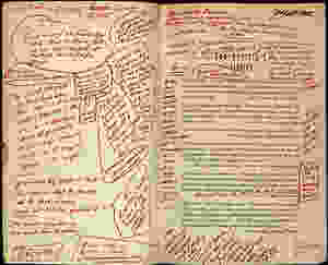 Marginalia scrawled in red ink