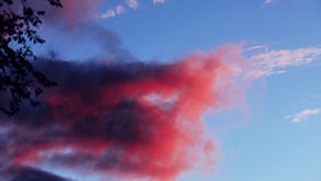Why the Best-Selling Novel, Beneath a Scarlet Sky, Is Raising Red Flags