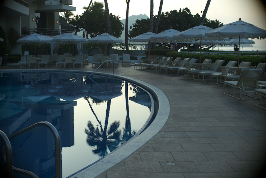 blue palm