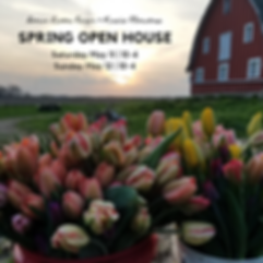 Spring is here! (1).png