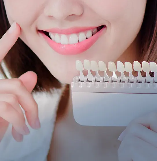 Zeichenfläche 1 Kopie 2.webp