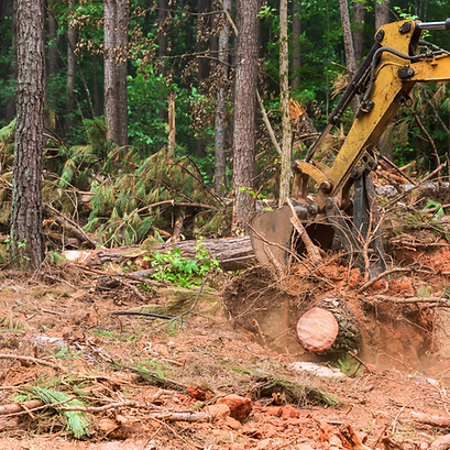 excavator land clearing.png
