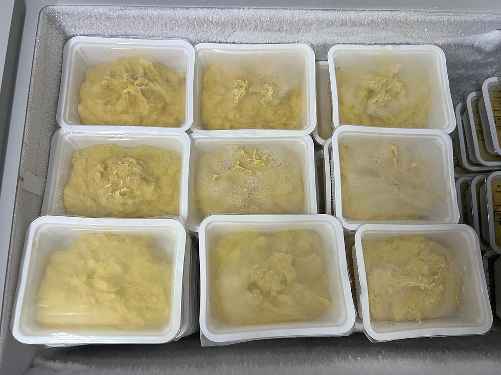 Thumbnail: 100% MSW Durian Puree – Freshly Frozen