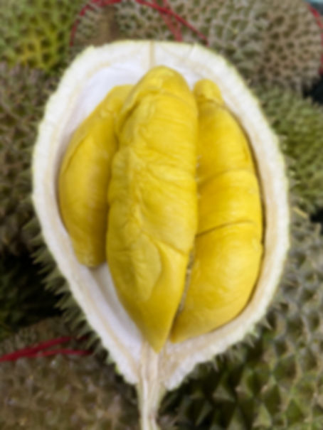 Pahang Old Tree MSW – ($32/kg)