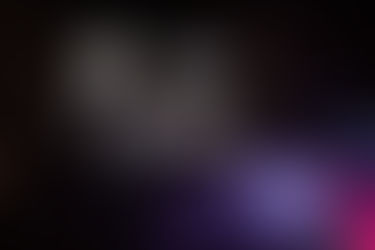 Licitació del servei de les barres de l’Aquelarre