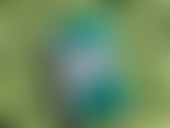 Book Review: The Virgin Suicides - Jeffrey Eugenides (original: 01.08.2023)