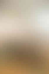 APT RIVIERA_FOTOS LAURA_IMAGEM 23