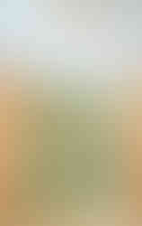 APT RIVIERA_FOTOS LAURA_IMAGEM 29