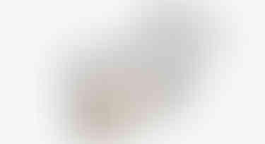 WhatsApp Image 2026-01-06 at 13.54.27 (1)