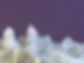 fullsizeoutput_299f.jpeg