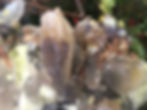 Thumbnail: Smokey Quartz / Black Tourmaline Cluster 