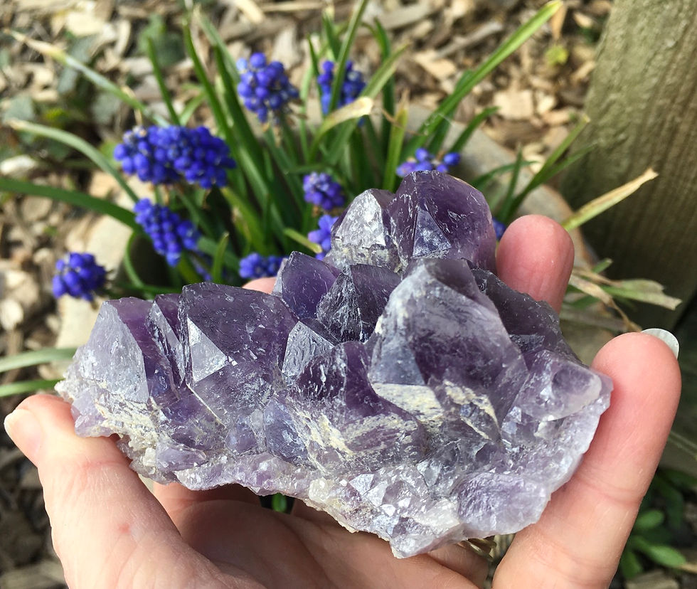 Thumbnail: Amethyst Cluster 