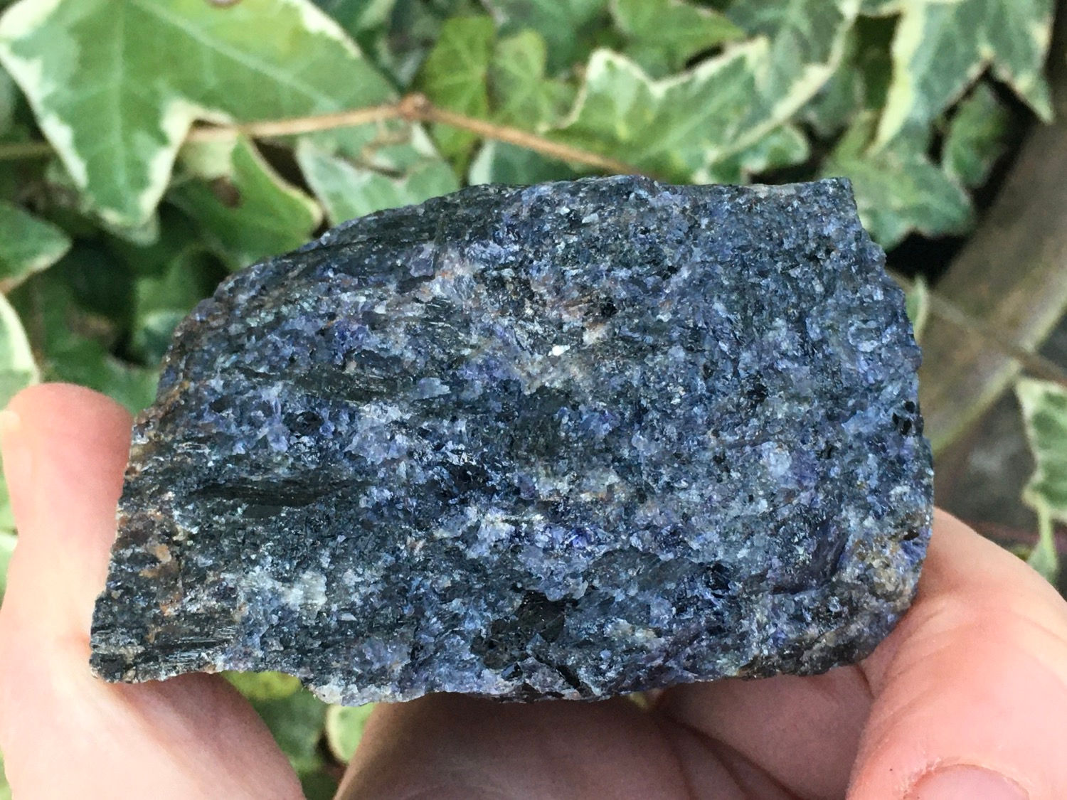 Iolite
