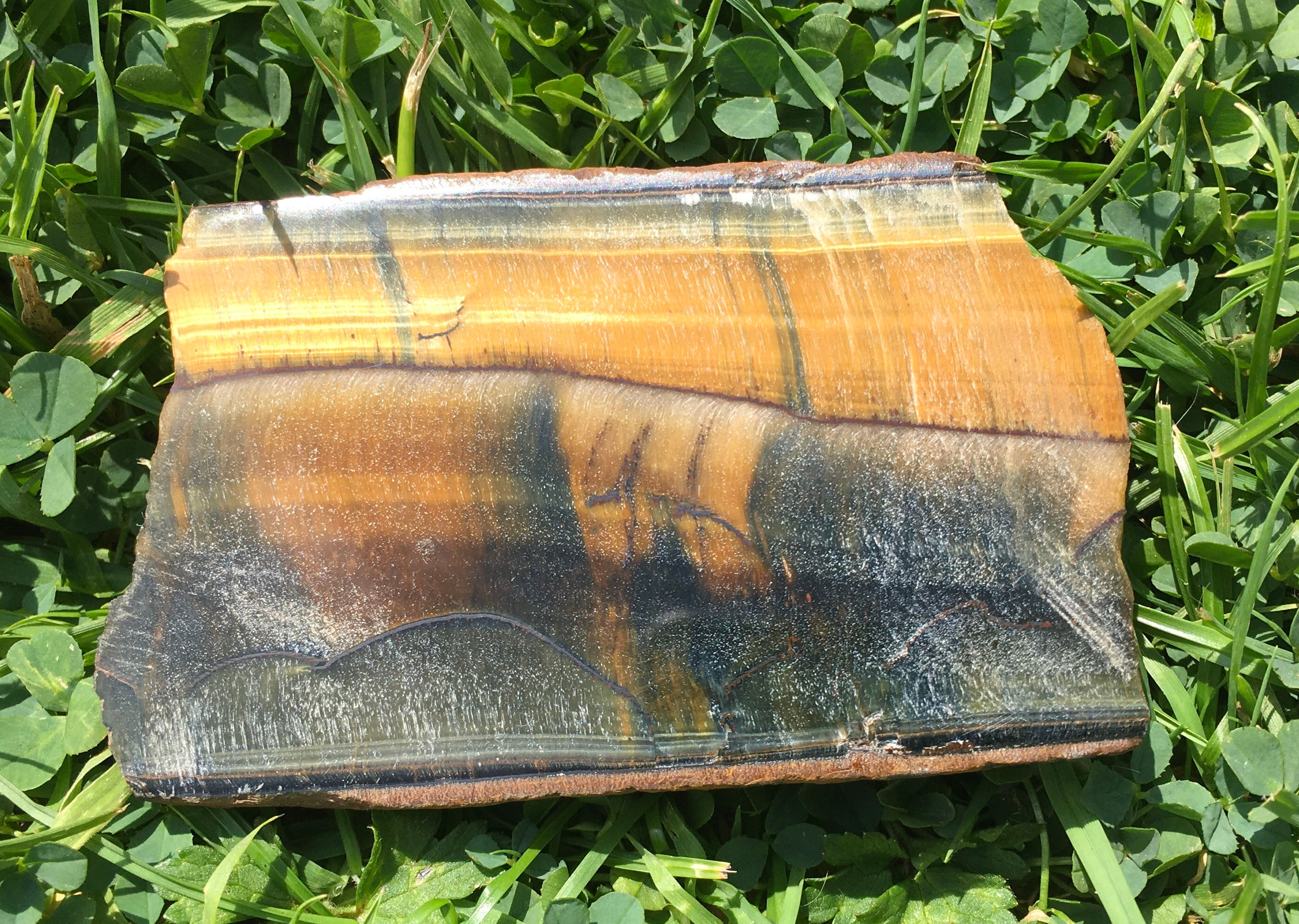 Tiger Eye / Hawks Eye