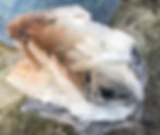 Thumbnail: Bladed Baryte  Cluster