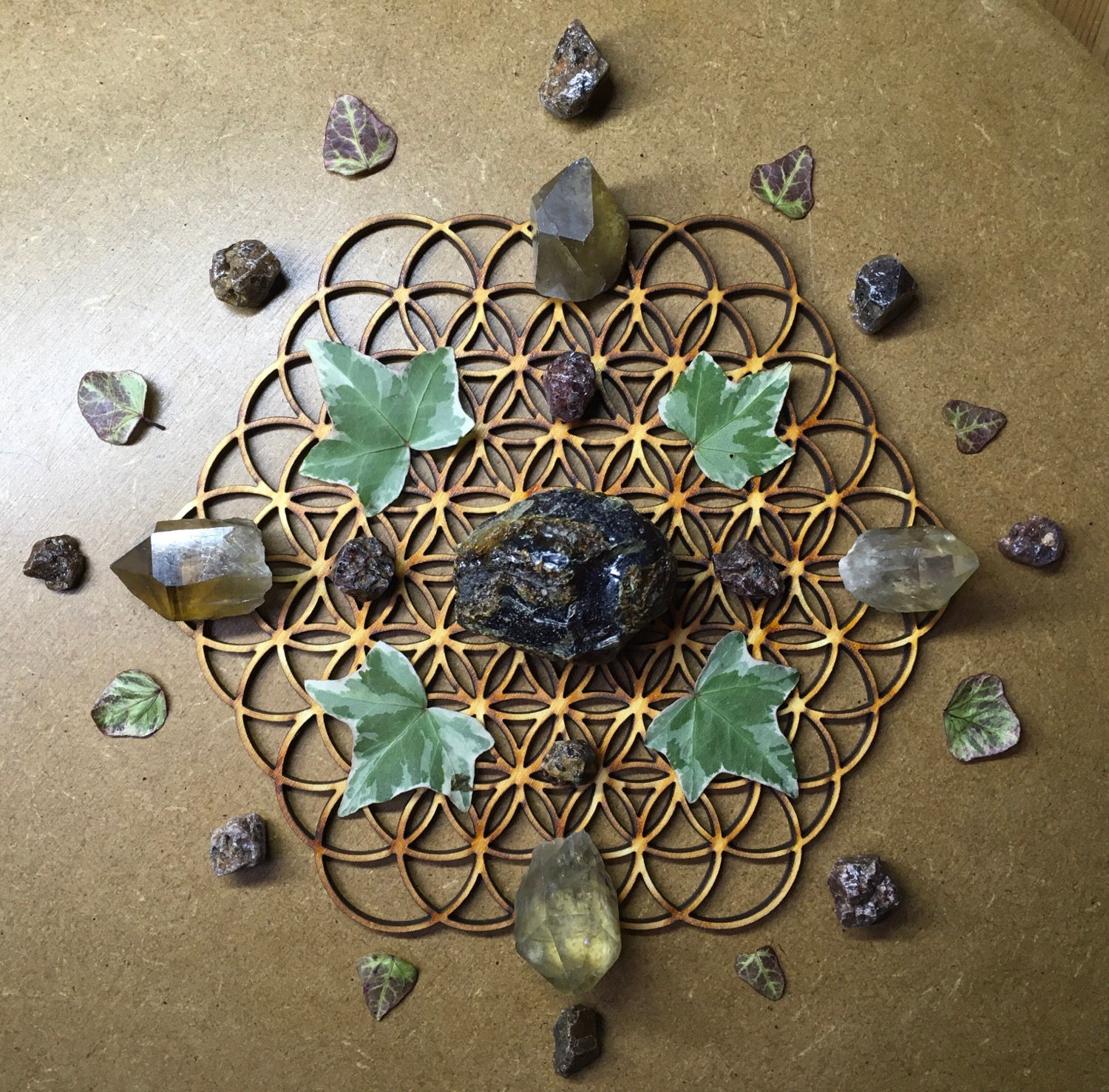 Winter Solstice Grid