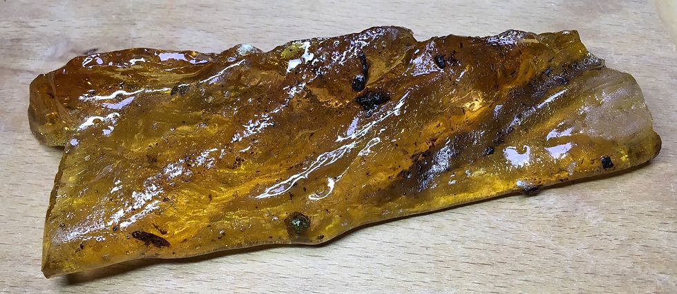 Copal Amber