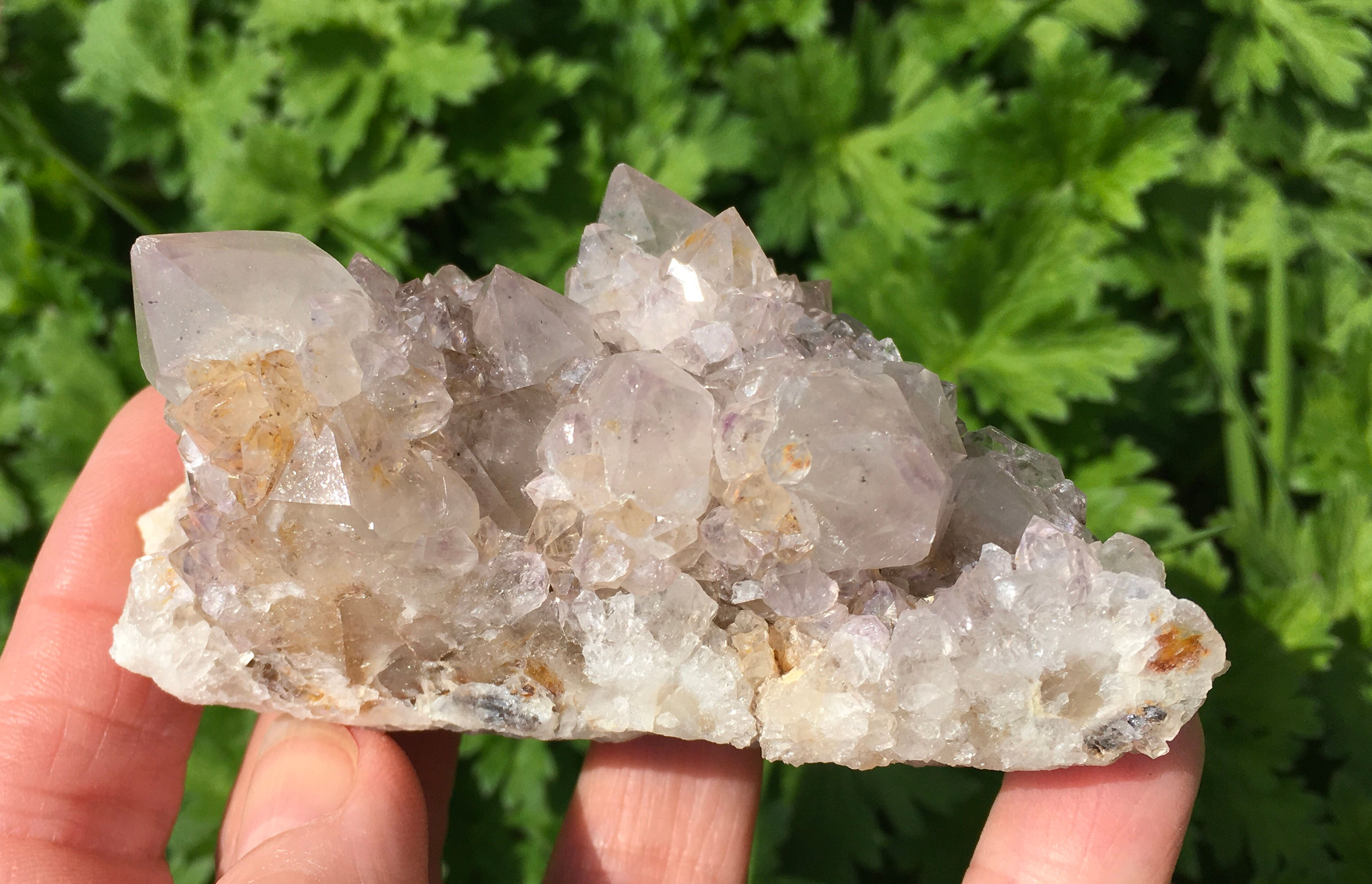 Amethyst Spirit Quartz Cluster 