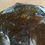 Thumbnail: Smokey Quartz With Hyalite Opal