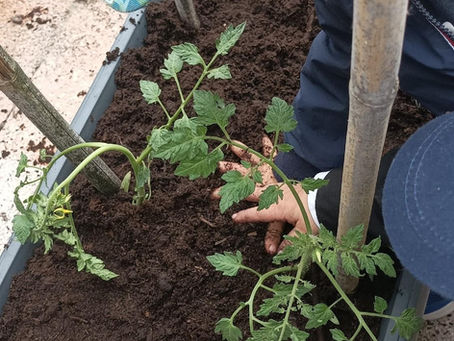 🌱 “L’Omino del Giardino” è arrivato al nido! 🌱