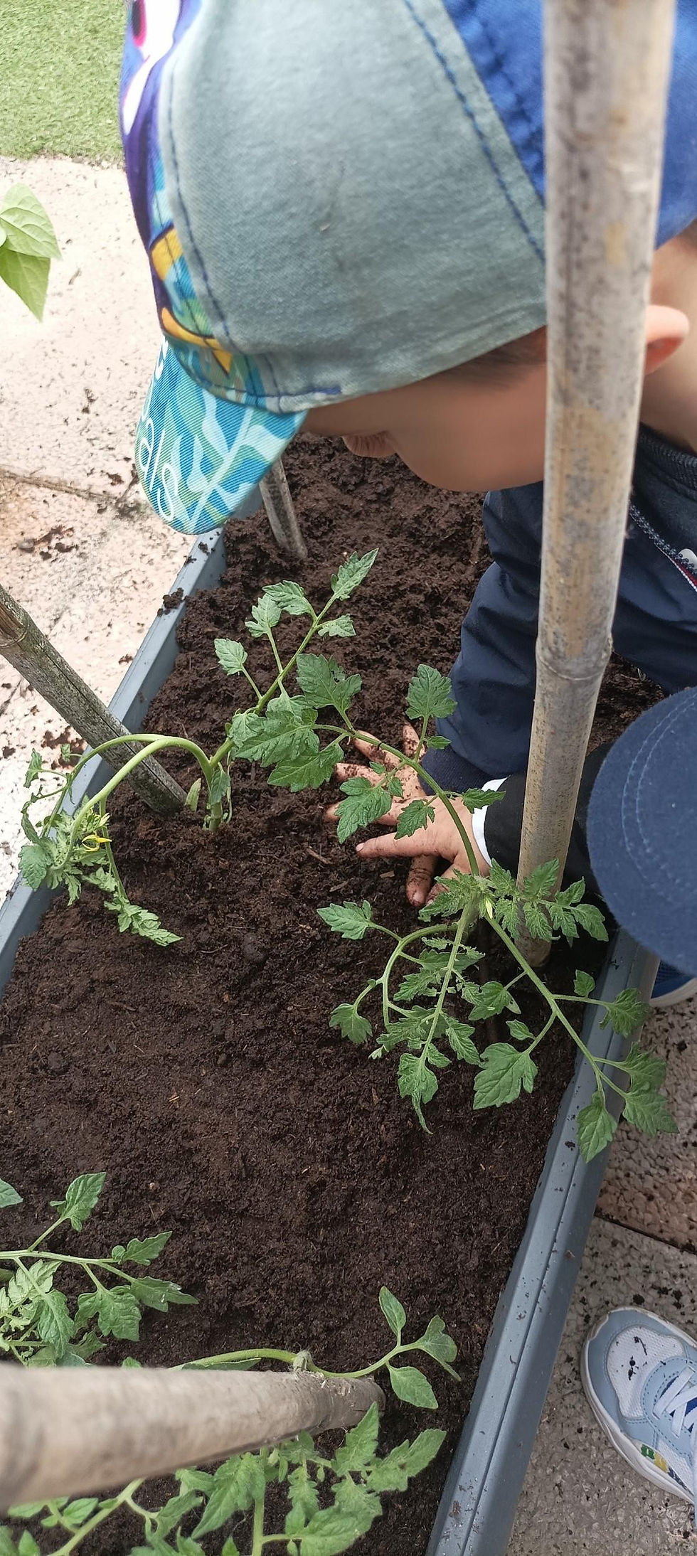 🌱 “L’Omino del Giardino” è arrivato al nido! 🌱