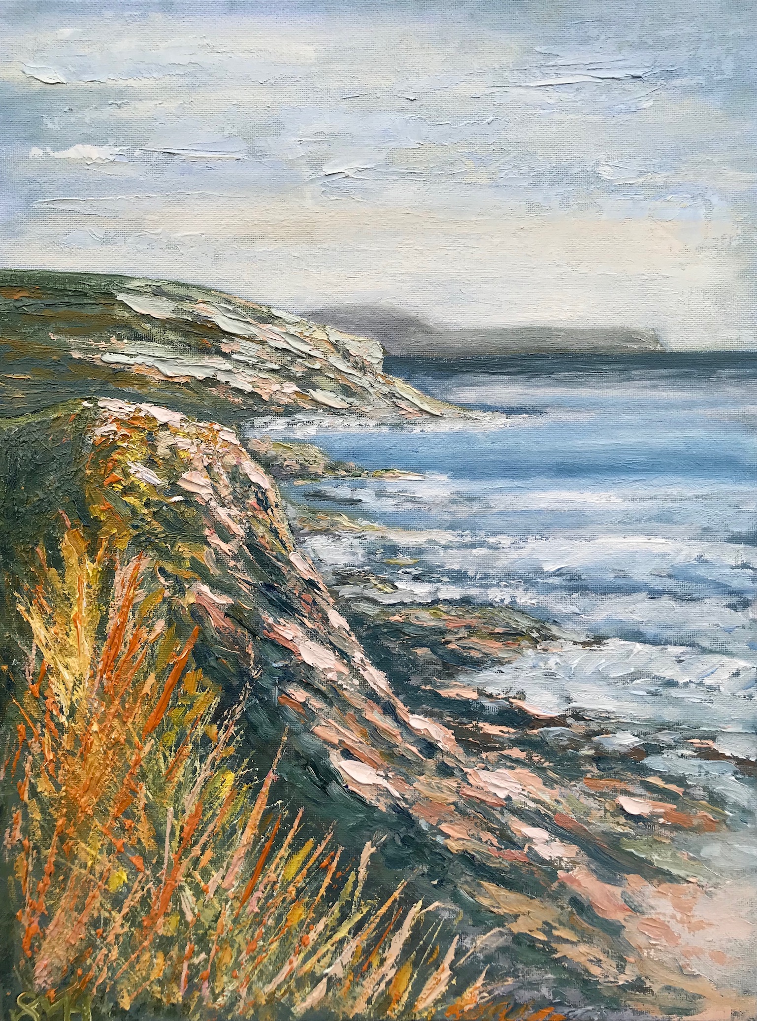 'Towan Beach Cliffs'