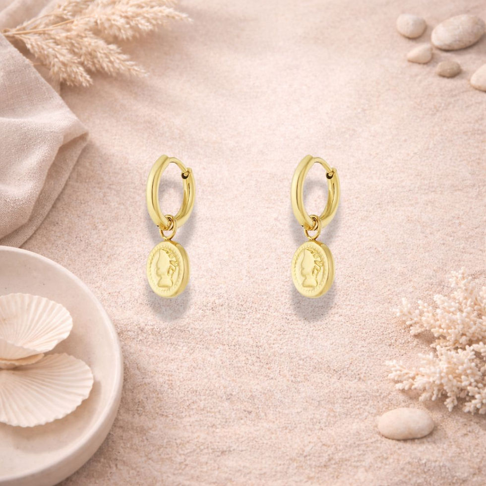 Muse Munt Oorringetjes van Stainless Steel | Goud & Zilver – Mijn Juweeltjes