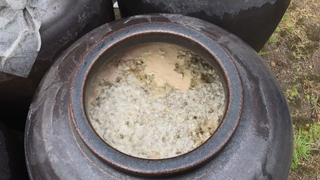 究極の発酵食品　甕壺仕込み黒酢