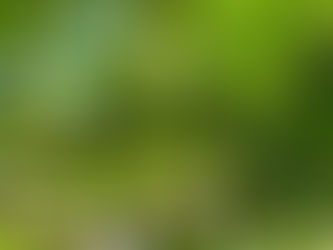 梅エキスは、我が家の万能薬 〜夏を迎える前にやること〜