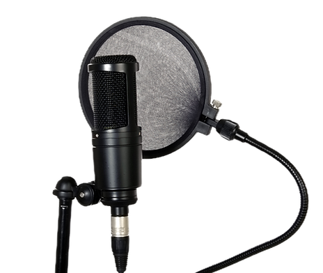 Microphone With Filter_edited.png