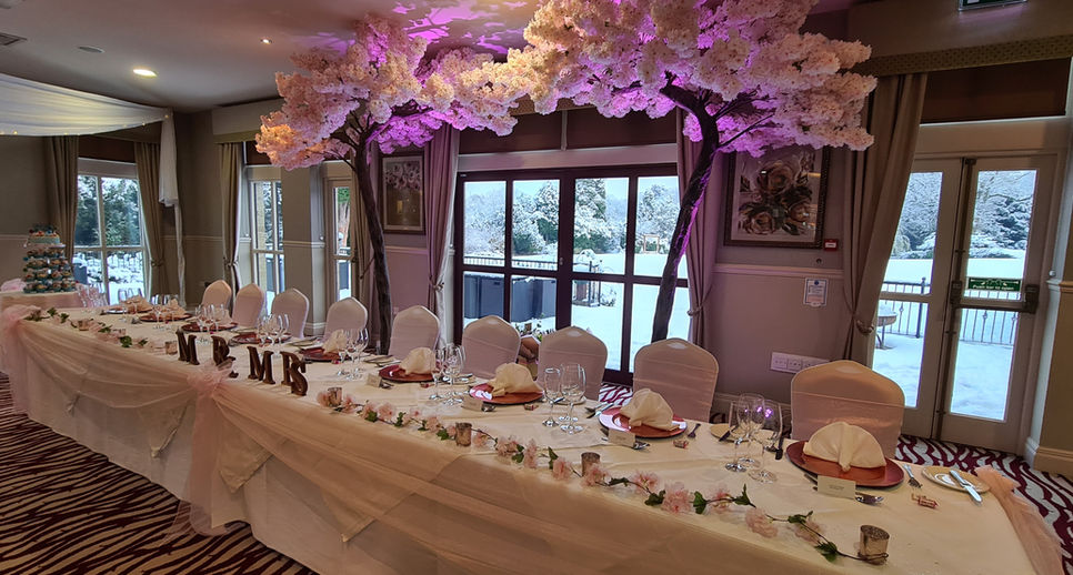 Mid Pink Up-lighting