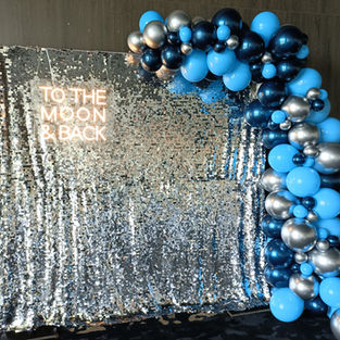 Silver Sequin Wall £150